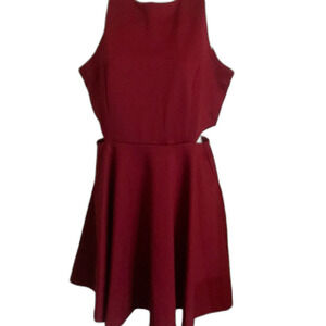 Maroon Side Cutout Fit & Flare Mini Dress Red Medium